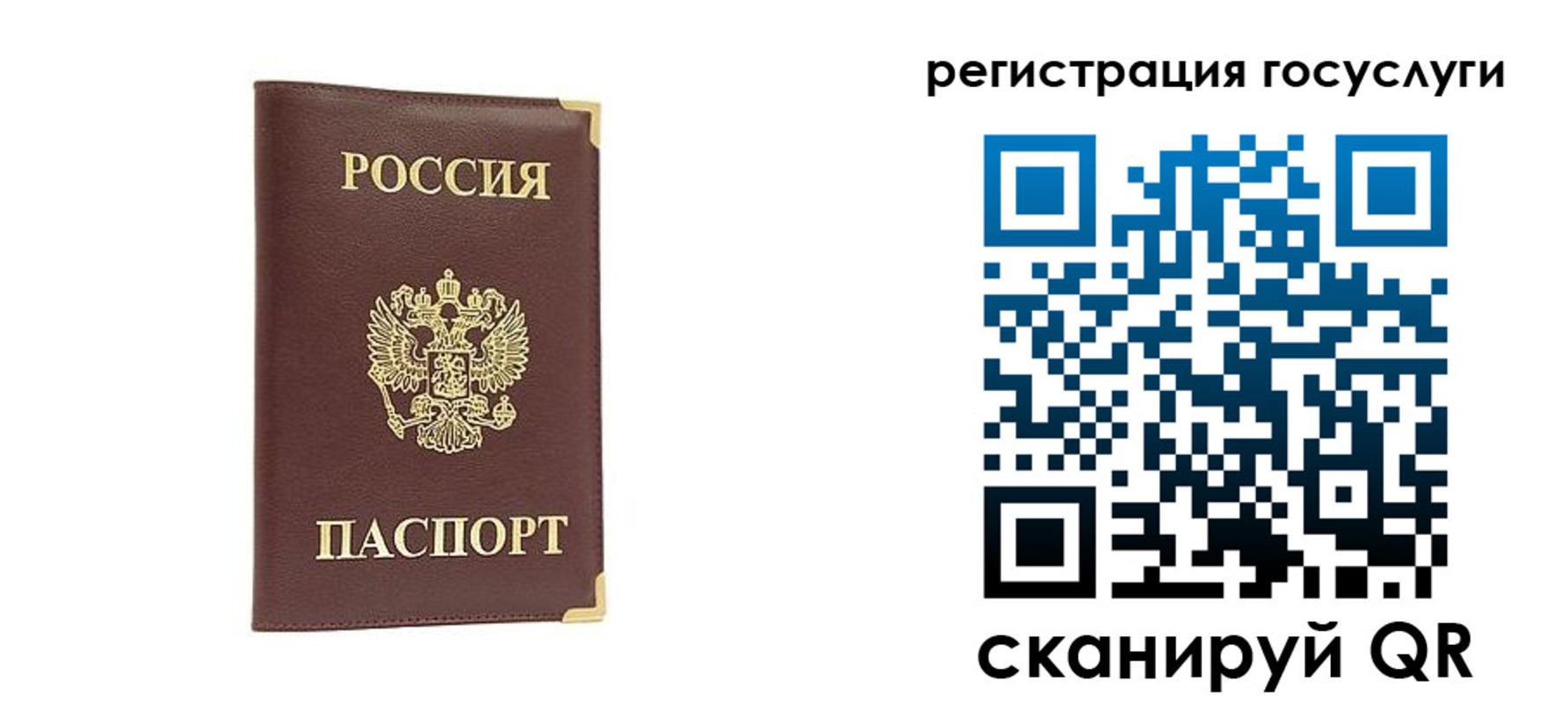 прописка поиск в Ульяновске
